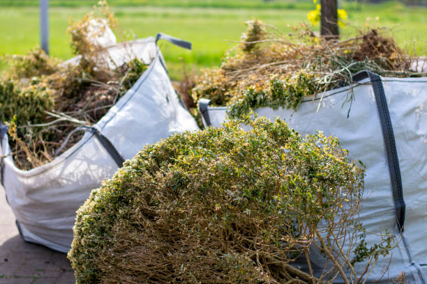 Best Yard Waste Removal  in Fernandina Beach, FL